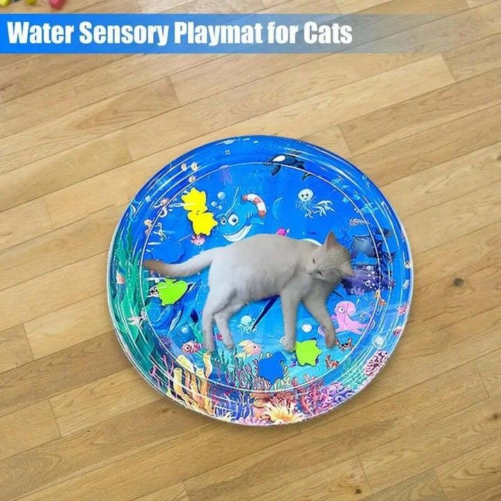 AE™ Water Bed